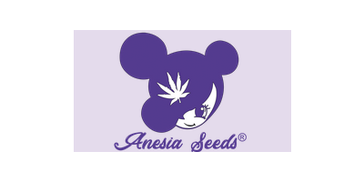 Anesia Seeds ist ein renommierter...