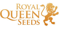 Royal Queen Seeds