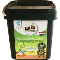 BioTabs Silicium Flash 1,5kg