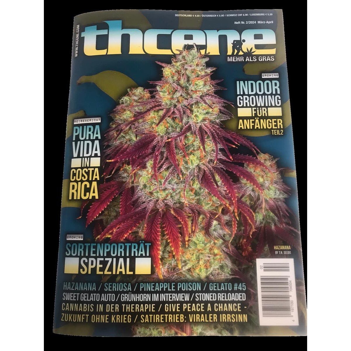 THCENE Magazin