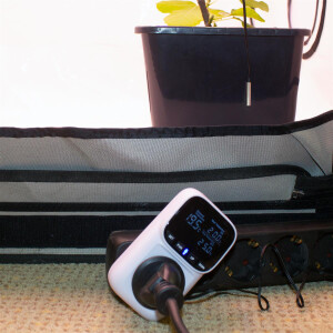 Bloomstar Horti Pro Thermostat