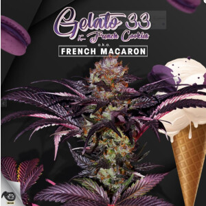 T.H. Seeds French Macaron - Gelato 33 X French Cookies...