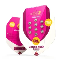 RQS Candy Crush Express Fast Fem. 3St.